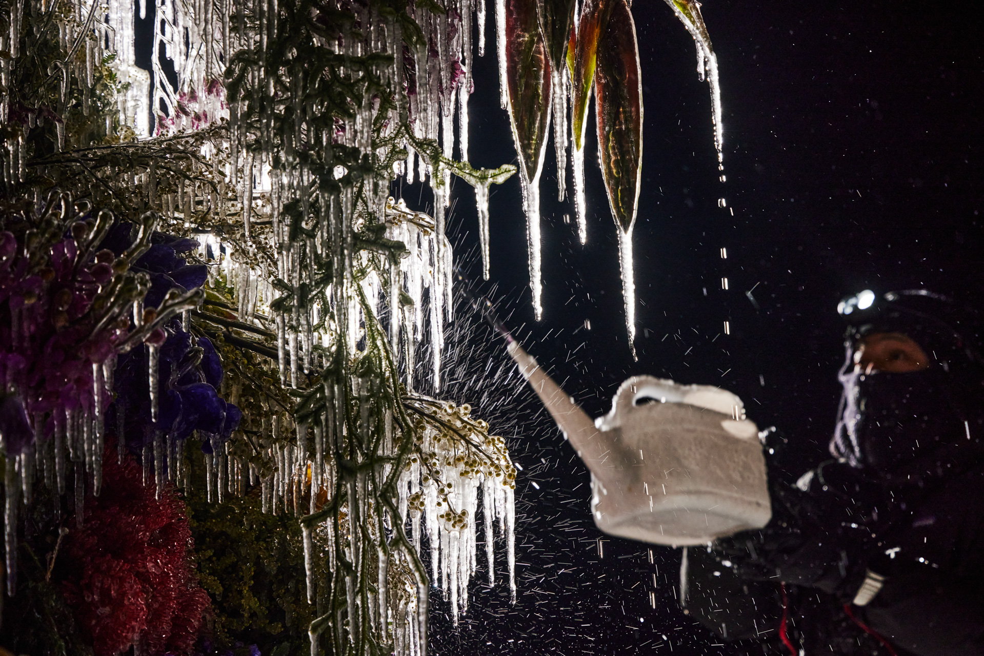 Frozen Flowers 2023 | AMKK（東信, 花樹研究所）